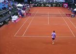 Tenis turnuvasında top toplayıcı köpekler