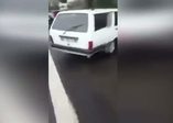 Almanya'da Kartal gören gurbetçinin sevinci