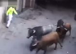 Boğa genç kıza böyle saldırdı!