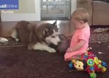 Sevimli bebeğin köpekle oyunu