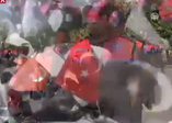 'Yunuslar' göreve başladı
