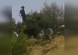 Meraklı keçi telefon tellerine asılı kaldı