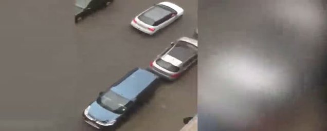 Müslüman kadını kasten ezdiler-1