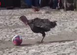 Hindi şut çekip top sürüyor