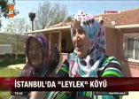 İstanbul'da leylek köyü!