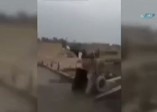 Böyle işçi görmediniz!