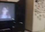 Korku filmi izleyen köpeğin efsanevi sevimli tepkisi