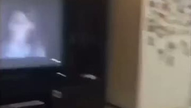 Korku filmi izleyen köpeğin efsanevi sevimli tepkisi