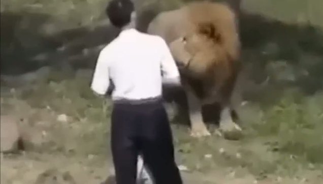 Aslanlara meydan okuyan adamın sonu