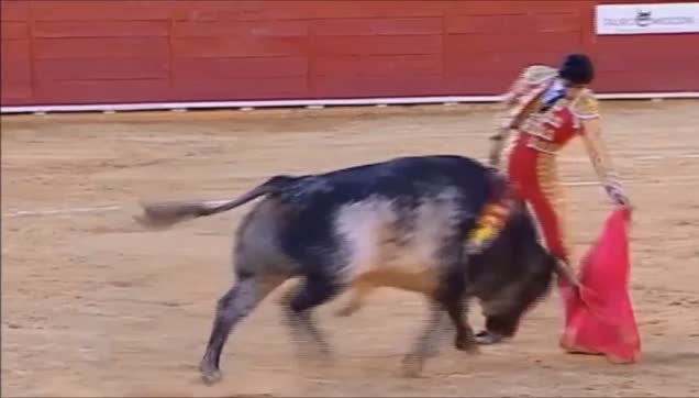 İspanya'da boğa, matadoru öldürdü-1