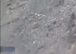 Kartal küçük çocuğu kaçırmaya çalıştı