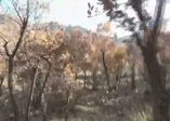 PKK’ya dev bir darbe daha!