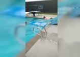 Tek amacı kaydıraktan havuza kaymaktı