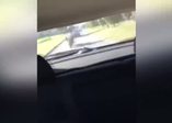 Motosiklet sürücüsünü tahrik edince...
