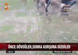 Üniformalı katiller Haşdi Şabi milisleri!