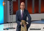 Kuyu ve onu kurtaran ekip ATV Ana Haber'de
