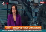 Bingöl'de üst düzey PKK'lılara operasyon
