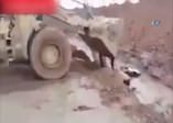 Haşdi Şabi’den kan donduran görüntüler