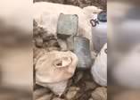 Şırnak’ta çok sayıda silah ve mühimmat ele geçirildi