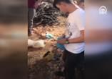 Mardin'de suikast için keşif yapan terörist yakalandı