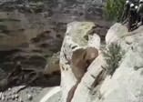 Hasankeyf gerçekleri