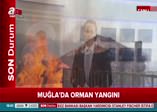Muğla'da orman yangını