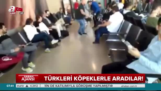 Avusturya polisi Türk yolcuları köpeklerle aradı!
