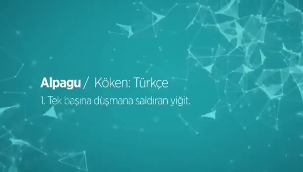 Yerli