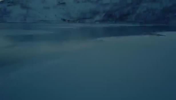 "Bazı 'cinslerin' diğer cinslerden öğreneceği çok şey var!"