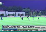 Orman, Güneş ile ne konuştu?