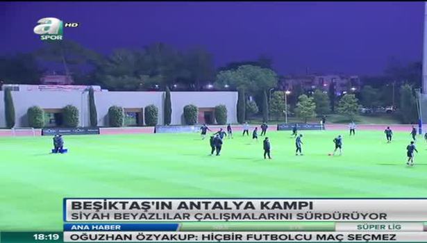 Orman, Güneş ile ne konuştu?