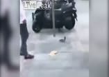 Güvercine tekme atmak isterken bakın ne oldu!