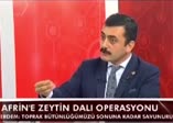 Eren Erdem, ÖSO'ya 'it sürüsü' dedi