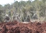 Burseya Dağı’nda canlı ele geçirilen YPG’liler böyle görüntülendi