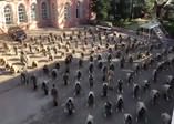 Kadın subaylardan tüyleri diken diken eden çalışma