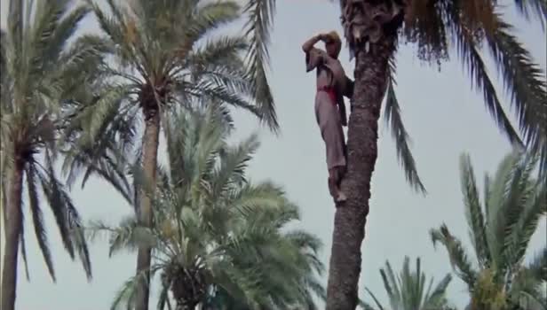 İyi ki doğdun Başkomutanım