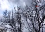 Afrin'de teröristlere ağır darbe vuruldu