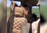 Tanzanya'da safari turunda cipe çita girdi