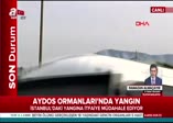 Aydos Ormanları'nda yangın!